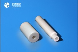 星空电竞app下载官网苹果柱塞